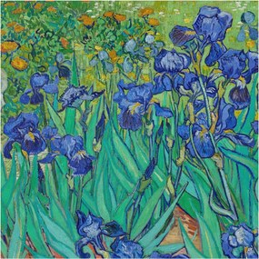 Fotótapéta Flizelin Dekoratív az irodába Kerti virágok 250x250 Ragasztó