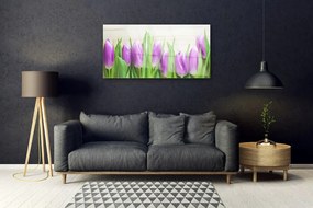 Üvegkép Tulipán virágok természet 125x50 cm