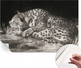 Divatos öntapadós fali tapéta Leopárd furnér pihenő 104x70 cm