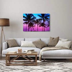 Kép - Pálmafák Miamiban (90x60 cm)