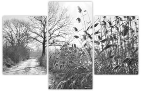 Kép - Mezők télen (90x60 cm)