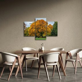 Fa képe (90x60 cm)