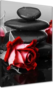 Vászonkép 70x100 Vörös rózsák Kövek