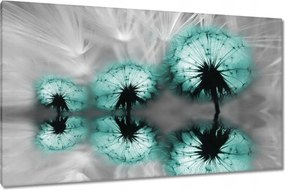 Vászonkép 120x70 Türkiz pitypang virág