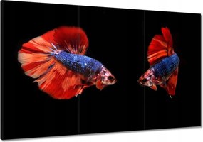 Vászonkép 120x80 Harcosok csodálatos halak