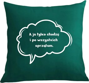 Párna párnahuzat Mindenkit takarítok