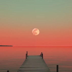 Poszter 40x40cm Hold a víz felett