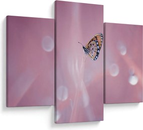 Kép - Pillangó (90x60 cm)