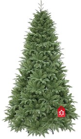 Nordmann jegenyefenyő 180 cm