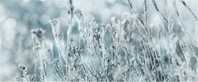 Kép - Téli varázslat (120x50 cm)