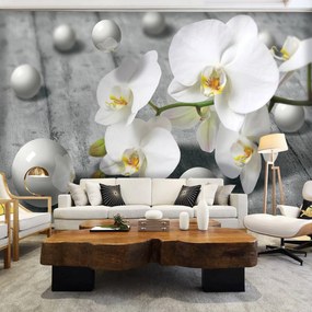 Fotótapéta - Fehér orchidea (152,5x104 cm)