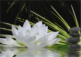 Fotótapéta Flizelin Dekoratív tapéta Liliom meditáció 208x146 Ragasztó