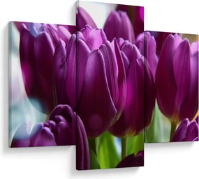 Tulipán képe (90x60 cm)