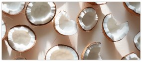 Kép - Kókuszdiók (120x50 cm)