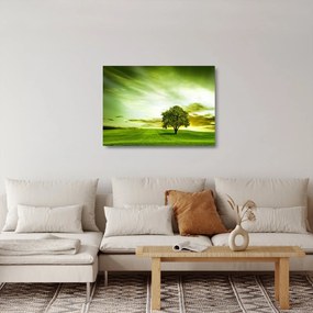 Kép - Az élet fája (üvegen) (70x50 cm)