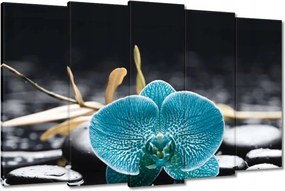 Vászonkép 150x95 Türkiz orchidea Virág