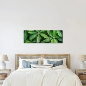 Kép - Levelek harmatcseppekkel (órával) (90x30 cm)