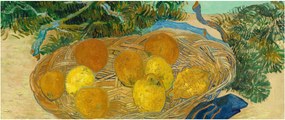 Kép - Vincent van Gogh, Still Life of  Oranges and Lemons with  Blue Gloves, reprodukciók (120x50 cm)