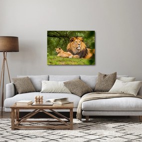 Oroszlánok képe (70x50 cm)
