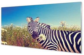 Akrilkép Zebra virágok 100x50 cm