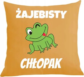 Párna párnahuzat Ajándék Békás Fiú