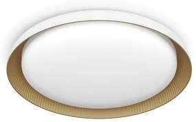 Philips - LED Dimmelhető mennyezeti lámpa PEBBLO LED/10W/230V 4000K fehér