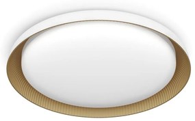 Philips Philips - LED Dimmelhető mennyezeti lámpa PEBBLO LED/10W/230V 4000K fehér P6234