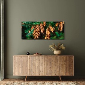 Fenyőtobozok képe (120x50 cm)