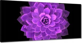 Vászonkép 120x60 Találkozás a virággal