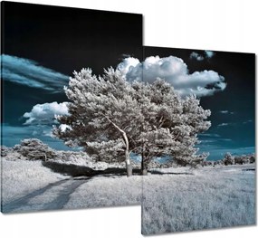 Vászonkép 80x70 Fenséges fa