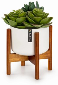 Fox & Fern Thorn, virágcserép, állvánnyal, 50-es évek stílusa, 2 méret