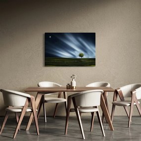 Az aurora borealis képe egy lápvidéken (90x60 cm)