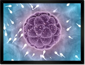 Poszterek keretben 40x30 Ne maradj le