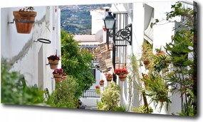 Vászonkép Bájos utca 100x70 cm