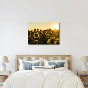 A napraforgó mező képe (70x50 cm)