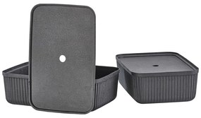 Tárolókosár szett 2 db-os 48x32x20.5 cm Pulp – Zone