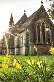 Poszter 20x30cm Húsvéti nárciszok, Assaf Frank