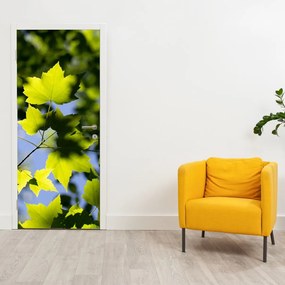 Fotótapéta ajtóra - Juharlevél (95x205cm)