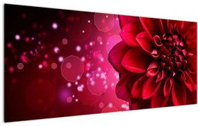 Piros virágok képe (120x50 cm)