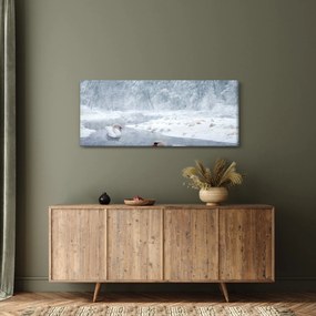 Hattyú képe (120x50 cm)