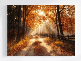 Vászonkép Canvas Tájkép Ősz Erdő Út Nap Arany 80x60