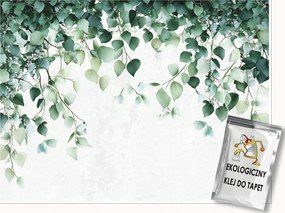 Fotótapéta Levelek Zöld Természet Konyha Hálószoba Nappali Tapéta 200x140