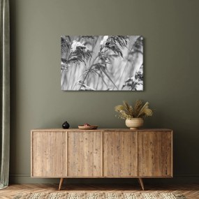 Kép - Lipnica, fekete-fehér (90x60 cm)