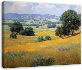 Vászonkép Mező Tájkép Természet Fák Hálószoba Nappali Vászon 40x30