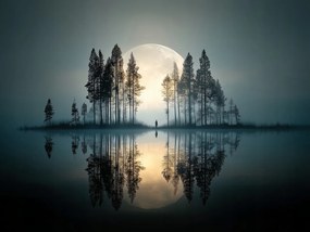 Vászonkép Canvas Telihold Köd Tó Erdő Magány 80 x 60