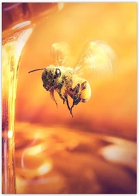 Poszterek A5 Pion Csöpögő méz befőttes üvegből