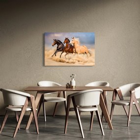 Kép - Vad lovak (90x60 cm)