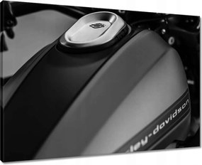Vászonkép 70x50 Harley Davidson Motorkerékpár