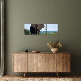 Egy elefánt képe (órával) (90x30 cm)