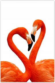 Plakátok 60x90 Egy pár flamingó